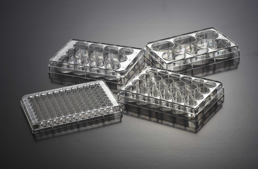 細(xì)胞培養(yǎng)板